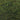 147 Moss Spindrift