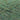 286 Moorgrass DK