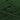 788 Leaf DK