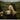 Auld Shell Scarf - Alison Rendall
