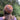 East Burn Beanie - Mandy Moore  (Olach Designs)