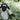 Wee Blackface Sheep (ver2) - Janice Anderson  (knitted fun version of the Blackface Sheep breed)